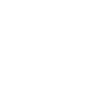 Logo Pietro Fiorentini