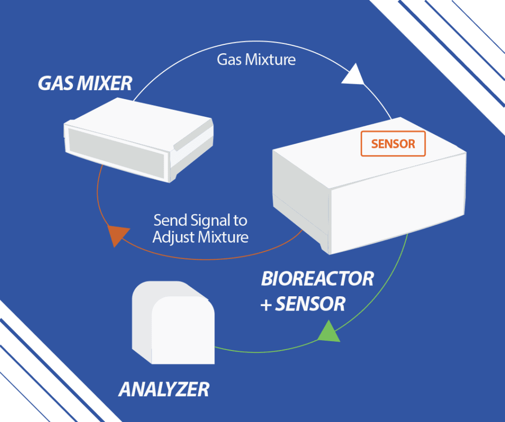 Feedback control case 2